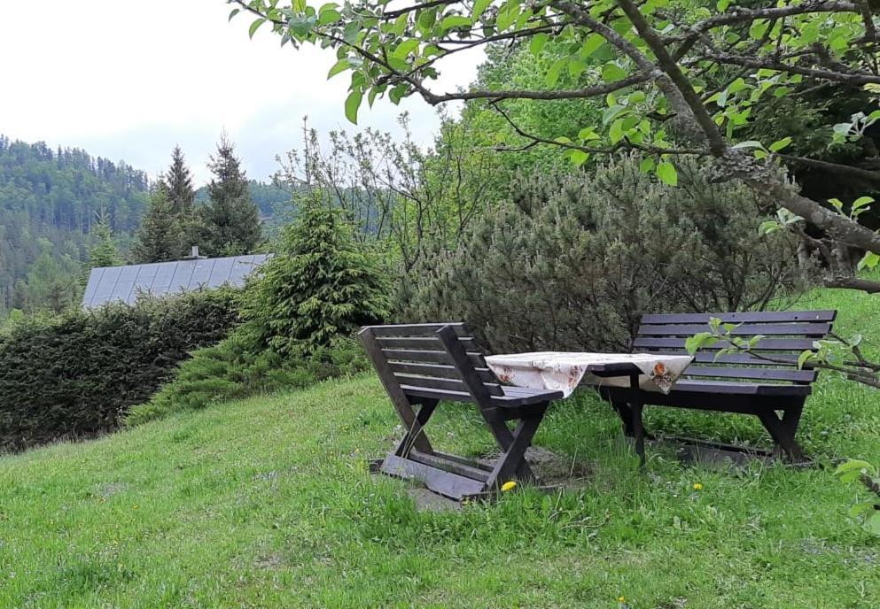 Fleurs De Myto Villa Mýto pod Ďumbierom Bagian luar foto